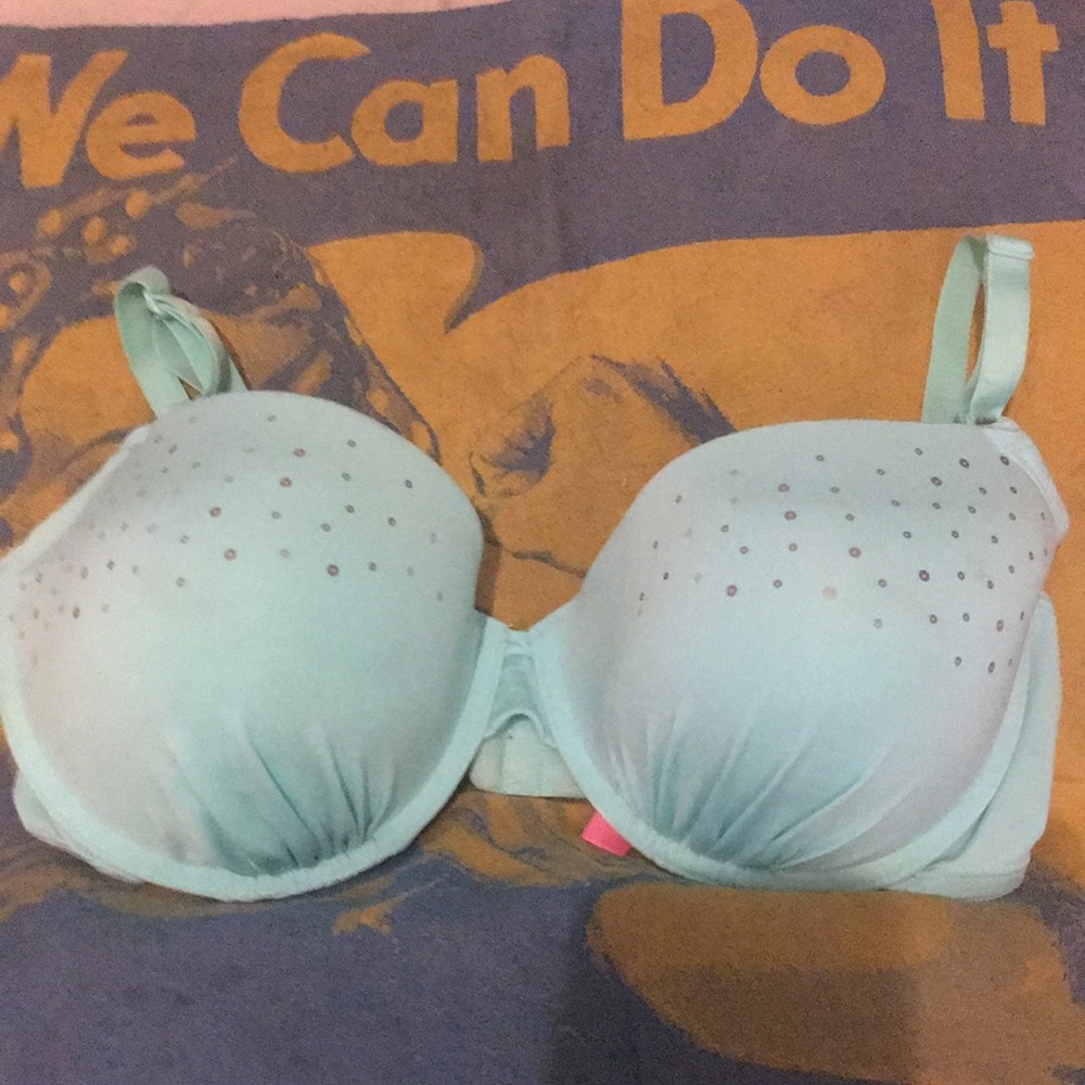 Fruit of the Loom sparkly bra.  So cute!
